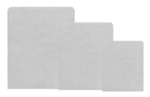 5 x 5 White Sulphite Paper Bags