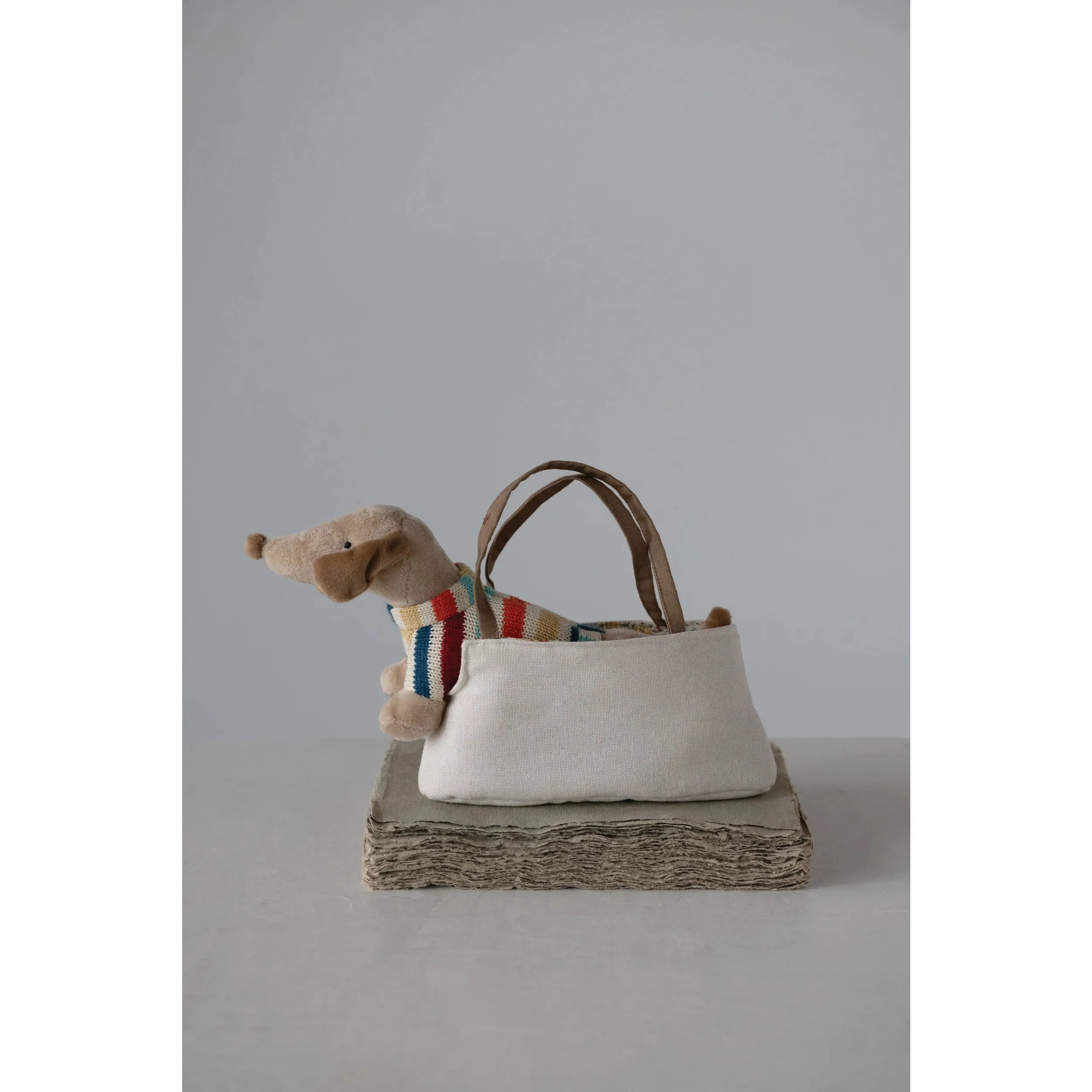 Dachshund in Carrier