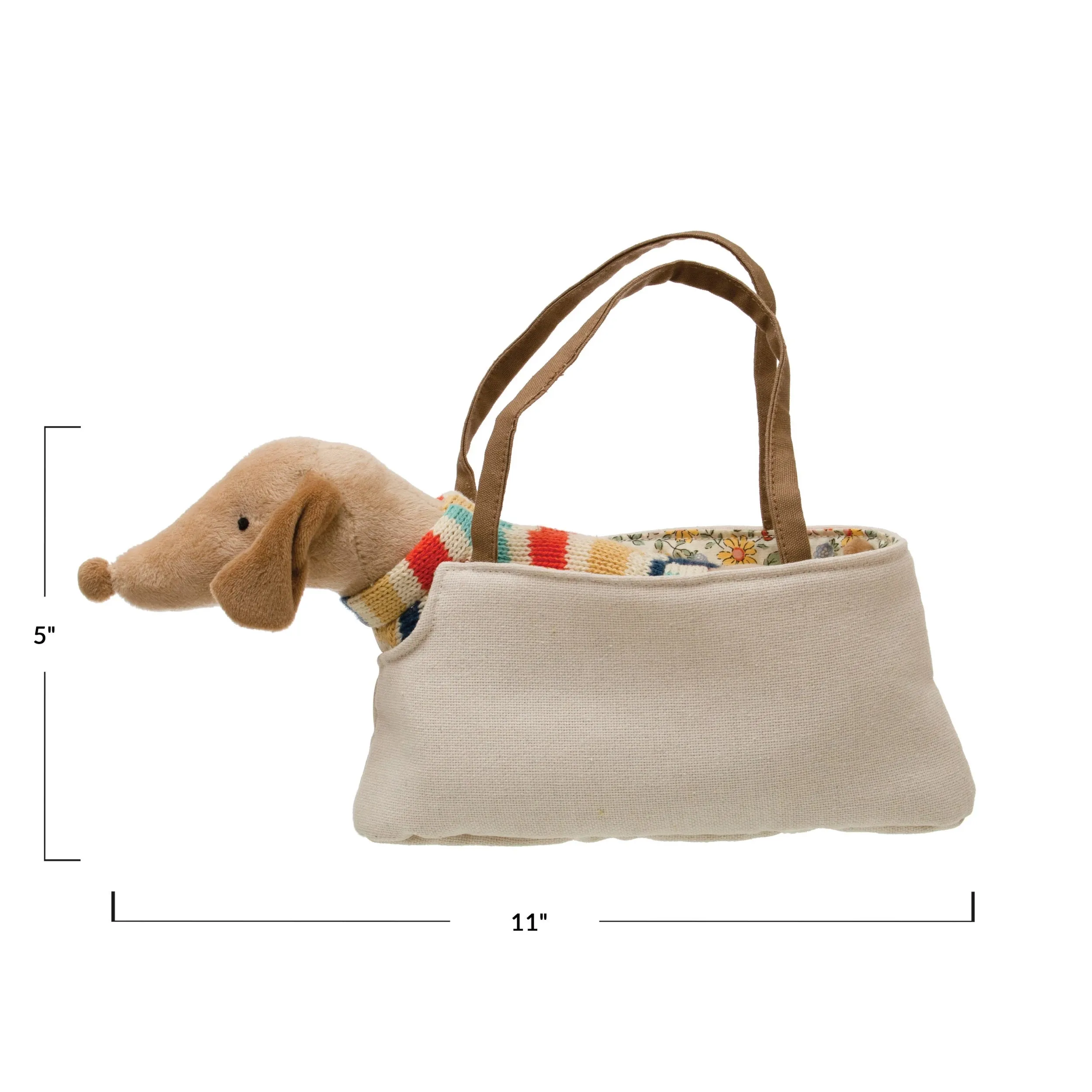 Dachshund in Carrier