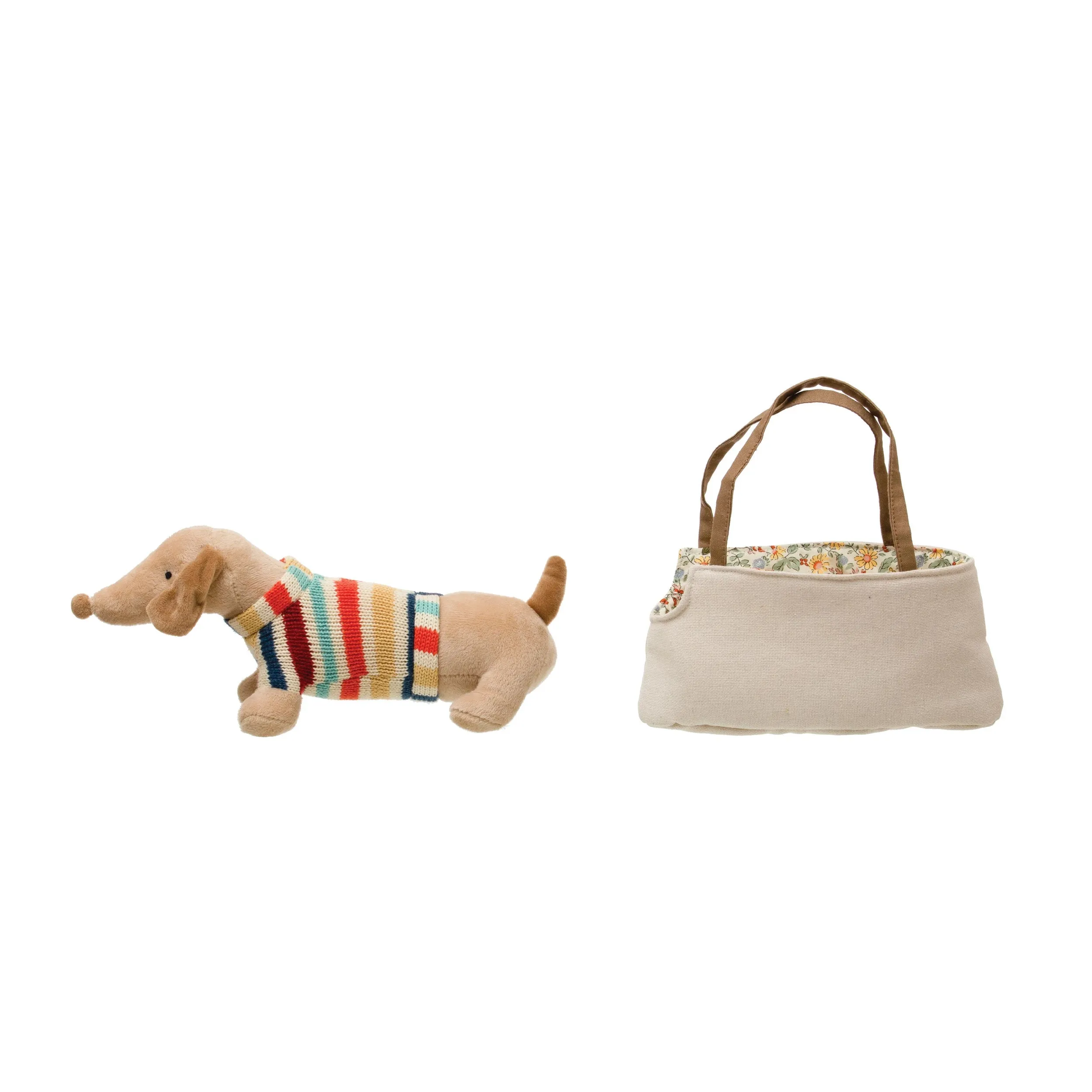 Dachshund in Carrier