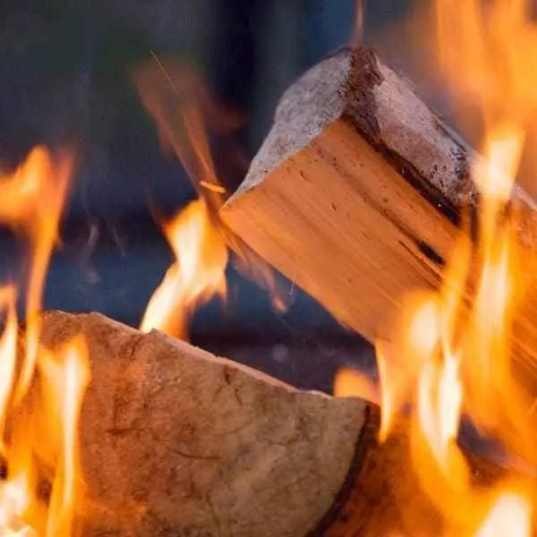 Hardwood Kiln Dried Logs Nets