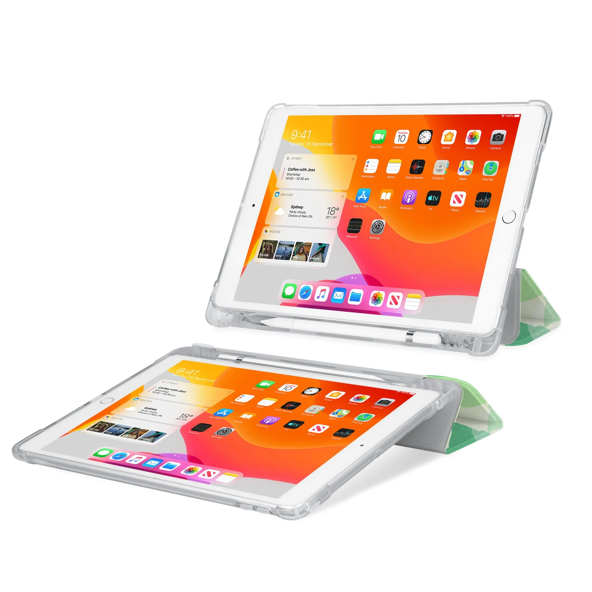 iPad SeeThru Case - Leaves