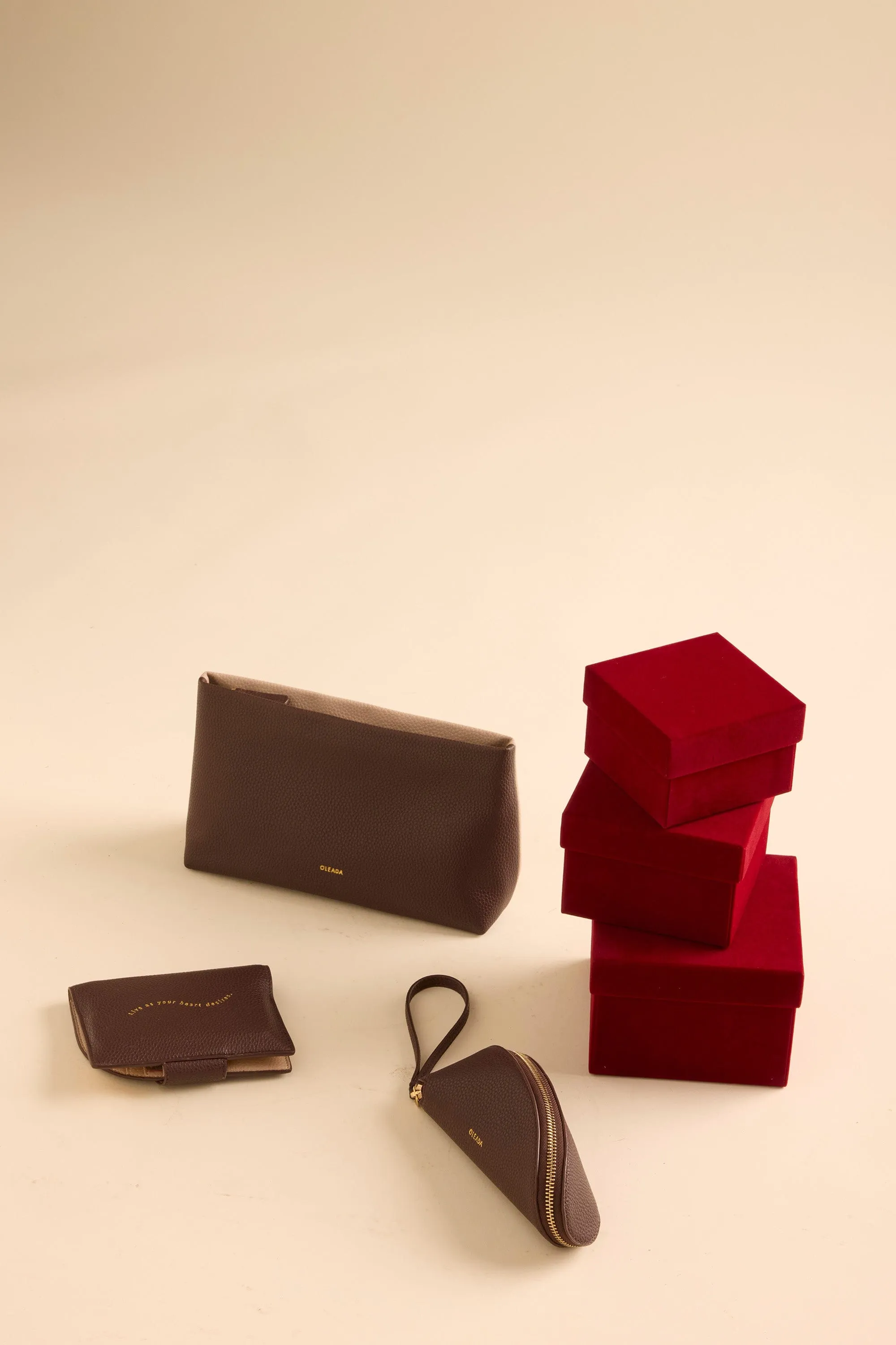 Jet-set Passport Holder