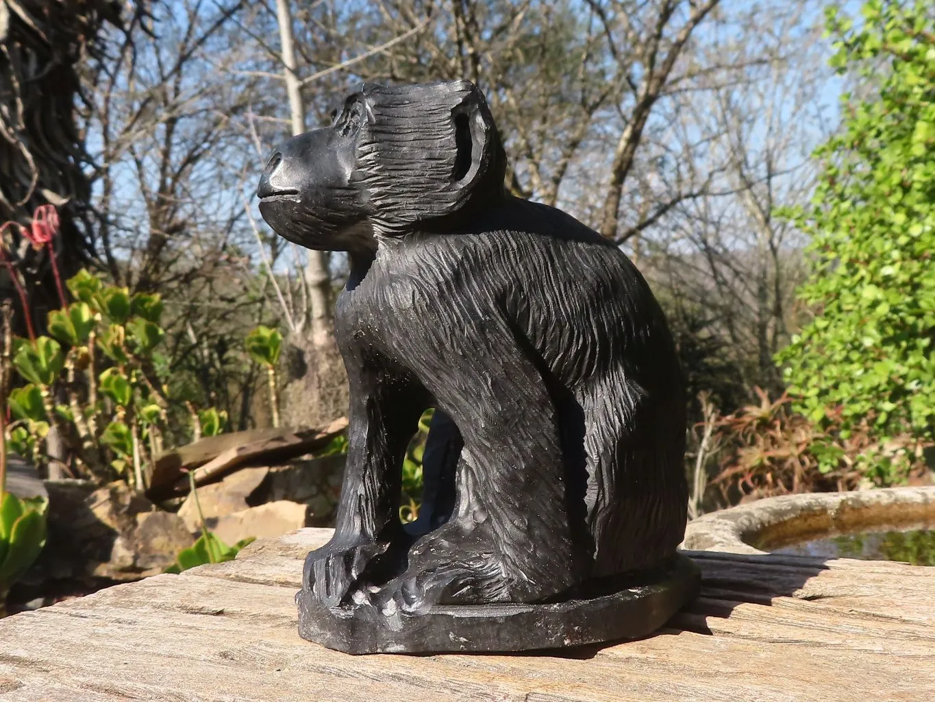 Polished  Black Soapstone Baboon Carving x 1 From Zimbabwe