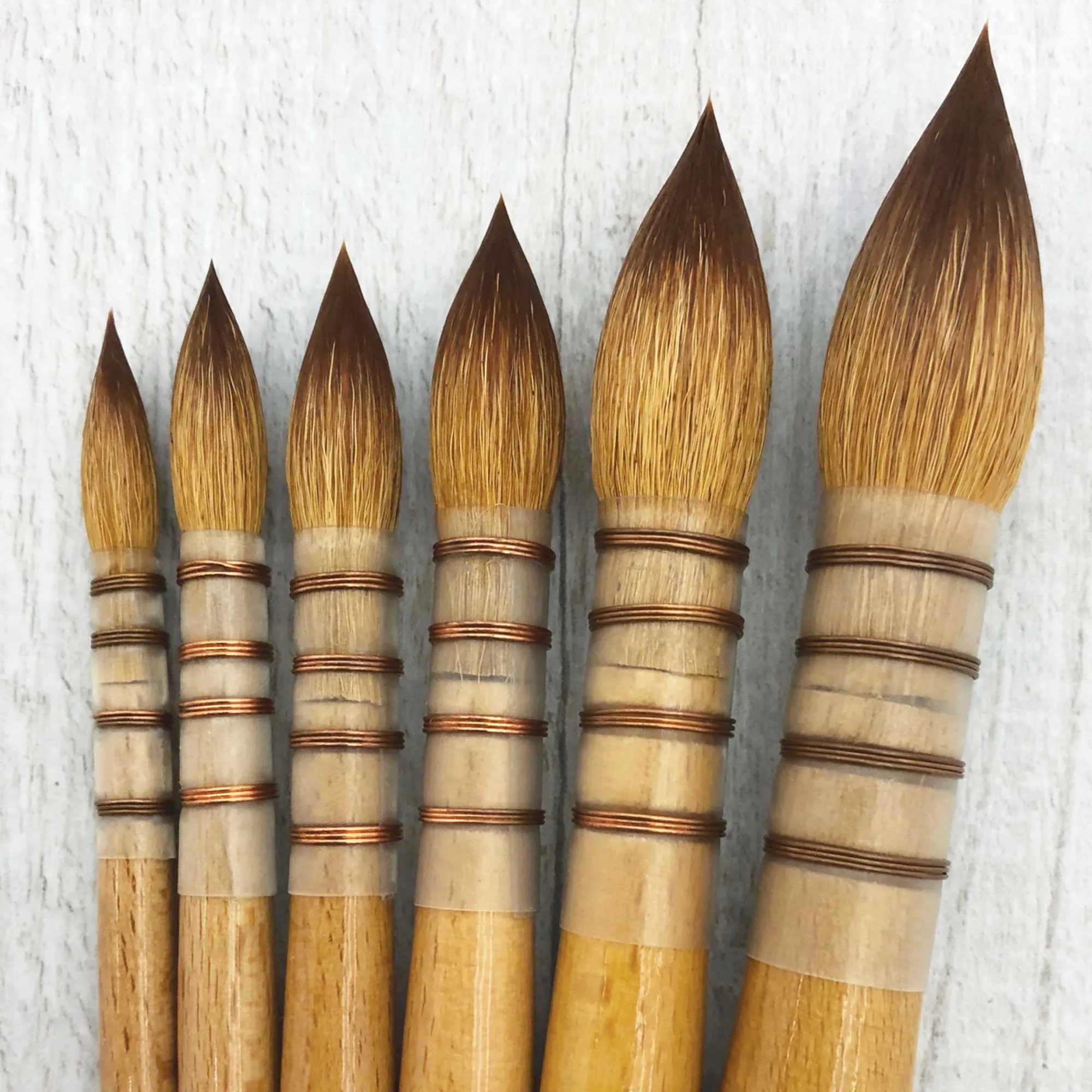 Pro Arte Sablesque Blended Mop Brush - Series 45
