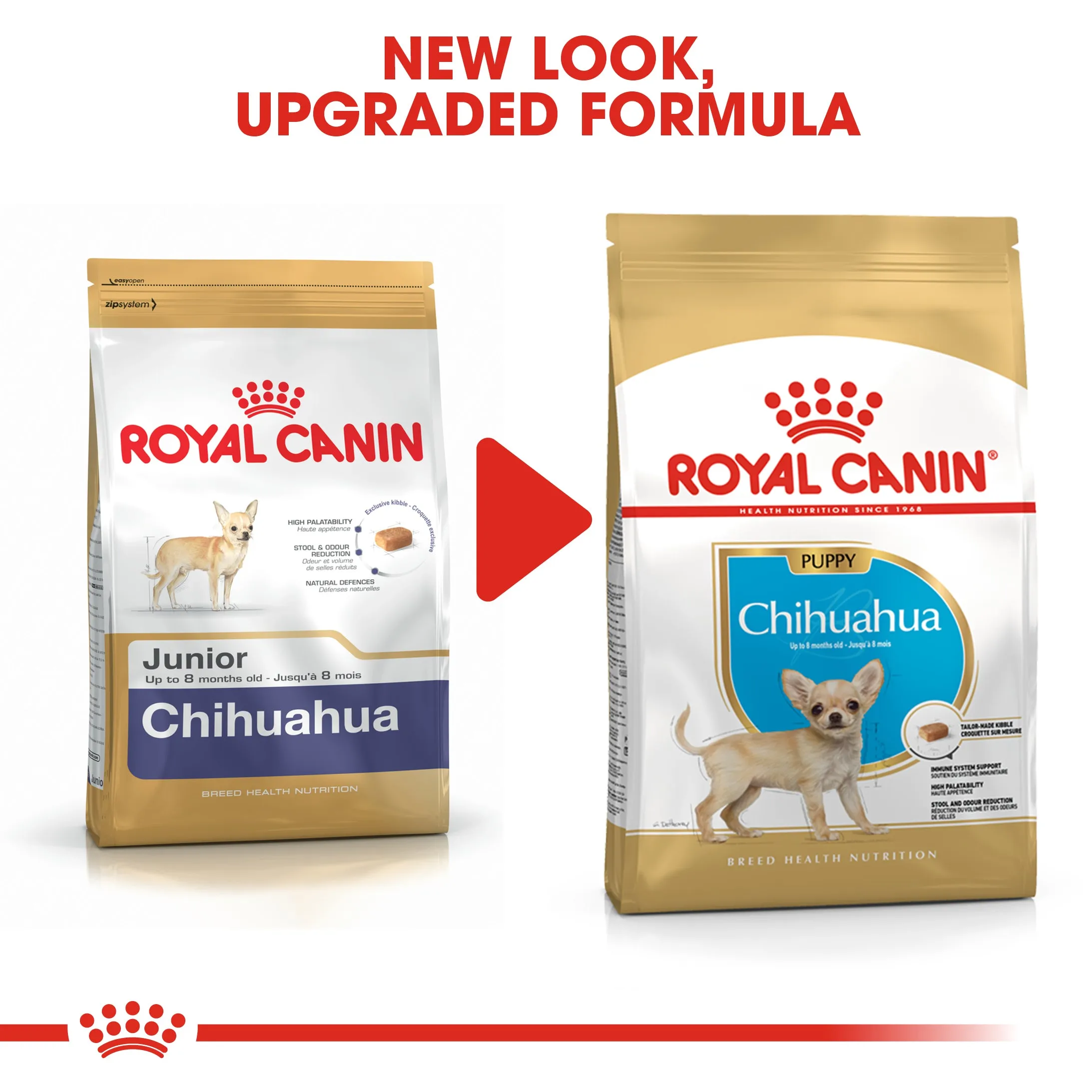 Royal Canin Chihuahua Puppy