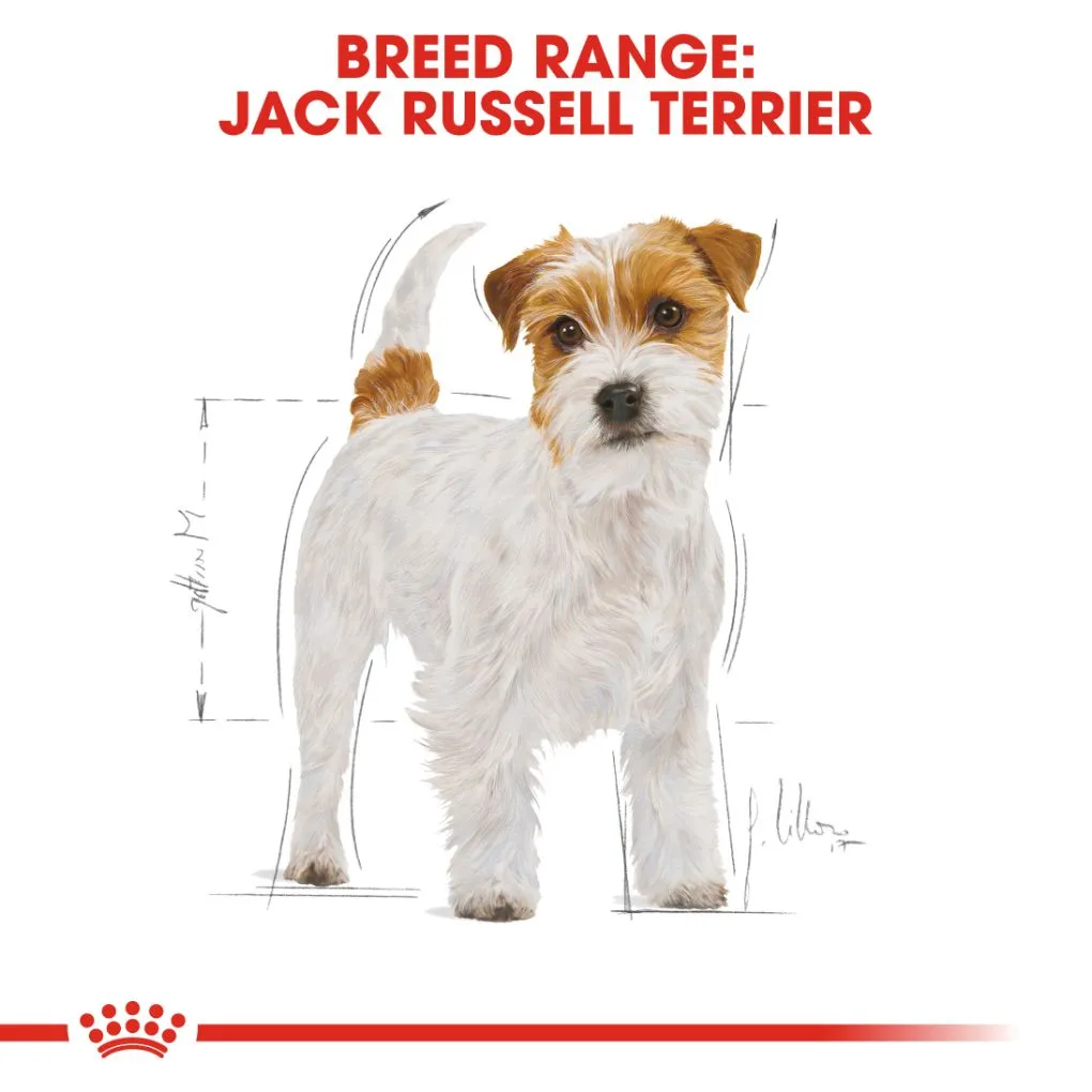 Royal Canin Jack Russell Terrier Adult