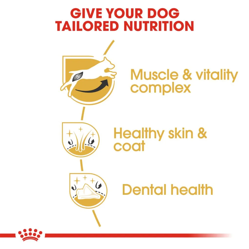 Royal Canin Jack Russell Terrier Adult